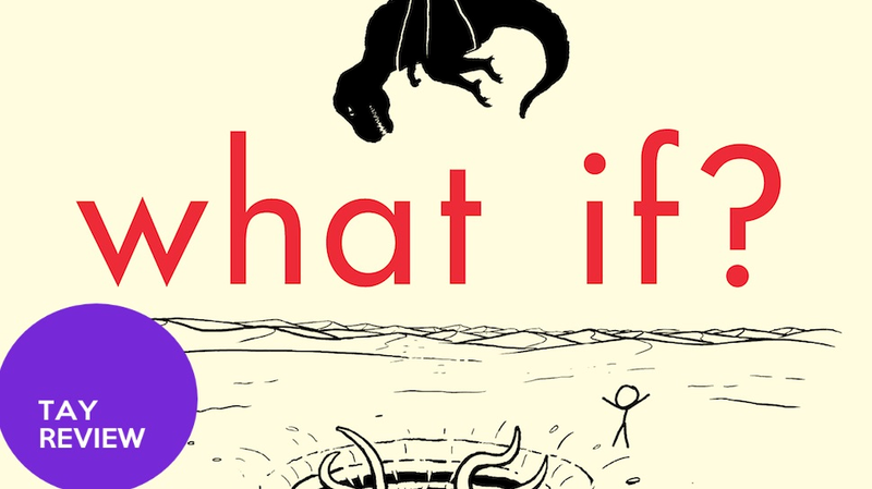Illustration for article titled What If? : The (short) TAY Book Review